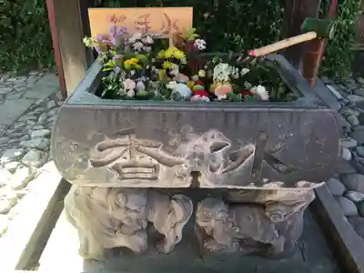 於菊稲荷神社の手水舎