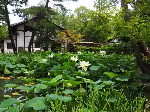唐招提寺の自然