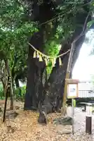 八景天祖神社(東京都)