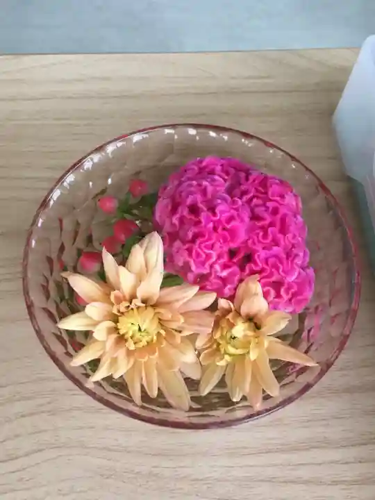 新川皇大神社の自然