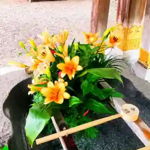 彌彦神社 (伊夜日子神社)の手水舎(2024年06月09日(日) 09時14分49秒投稿)
