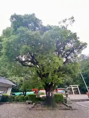 勝浦八幡神社(和歌山県)
