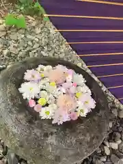 帯廣神社の芸術