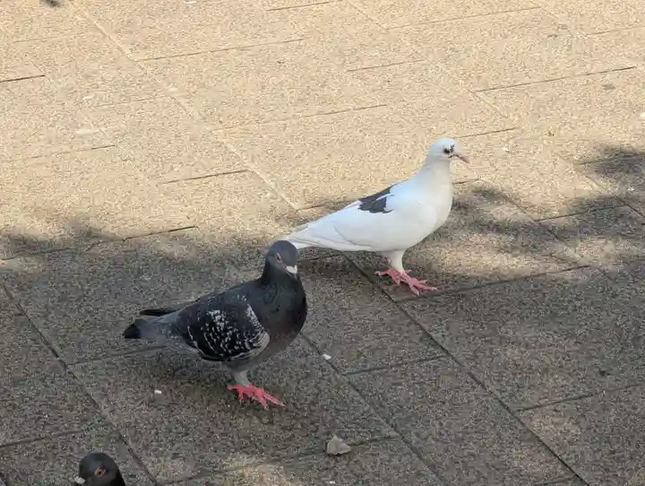 池袋水天宮(東京都)