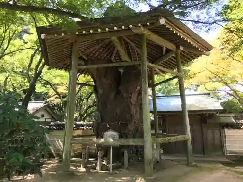 根香寺のその他建物