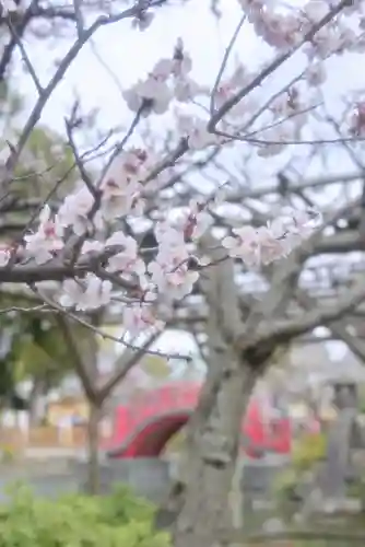 亀戸天神社(東京都)