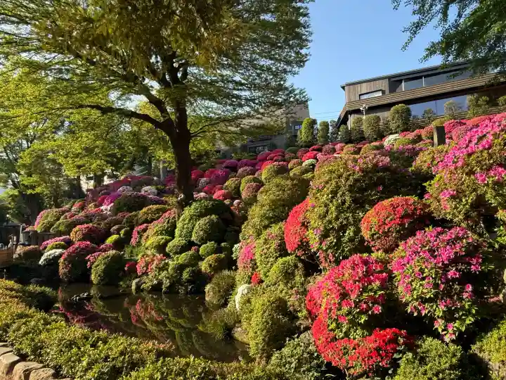 根津神社の{uncategorized: "未分類", other: "その他", undefined: "問題あり", building: "その他建物", grave: "お墓", sacred_gate: "鳥居", guardian: "狛犬", statue: "像", buddha: "仏像", history: "歴史", nature: "自然", garden: "庭園", animal: "動物", pagoda: "塔", temizu: "手水舎", mountain_gate: "山門・神門", sanctuary: "本殿・本堂", subordinate: "末社・摂社", art: "芸術", scenery: "景色", jizo: "地蔵", ema: "絵馬", goshuin: "御朱印", omikuji: "おみくじ", items: "授与品その他", amulet: "お守り", goshuincho: "御朱印帳", eats: "食事", festival: "お祭り", votive_dance: "神楽", shichigosan: "七五三参", wedding: "結婚式", experience: "体験その他", initially: "初詣", around: "周辺", anti_infection: "感染症対策"}