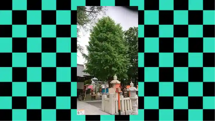 草加神社(埼玉県)