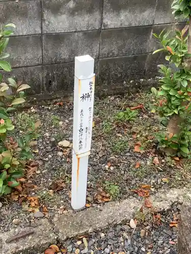 秋葉大権現(岐阜県)