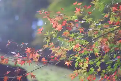 由岐神社(京都府)