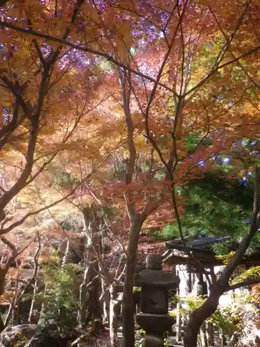 覚園寺の庭園