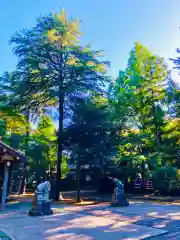 蛟蝄神社奥の宮(茨城県)