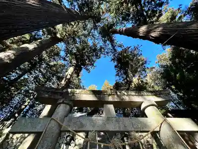 大洲七椙神社(長野県)