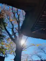 愛宕神社(茨城県)