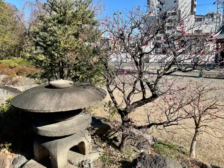 天竜寺(東京都)