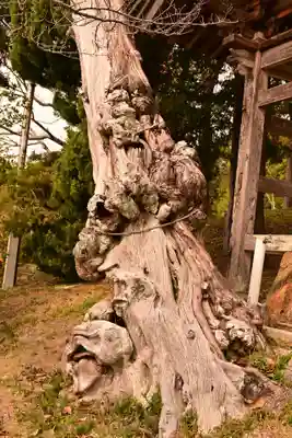 鹿島神社(香川県)
