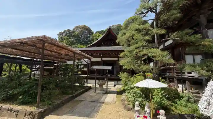 岡寺(龍蓋寺)の{uncategorized: "未分類", other: "その他", undefined: "問題あり", building: "その他建物", grave: "お墓", sacred_gate: "鳥居", guardian: "狛犬", statue: "像", buddha: "仏像", history: "歴史", nature: "自然", garden: "庭園", animal: "動物", pagoda: "塔", temizu: "手水舎", mountain_gate: "山門・神門", sanctuary: "本殿・本堂", subordinate: "末社・摂社", art: "芸術", scenery: "景色", jizo: "地蔵", ema: "絵馬", goshuin: "御朱印", omikuji: "おみくじ", items: "授与品その他", amulet: "お守り", goshuincho: "御朱印帳", eats: "食事", festival: "お祭り", votive_dance: "神楽", shichigosan: "七五三参", wedding: "結婚式", experience: "体験その他", initially: "初詣", around: "周辺", anti_infection: "感染症対策"}