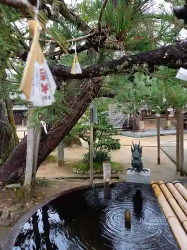 智恩寺の手水舎