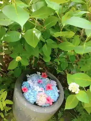 雲昌寺(秋田県)