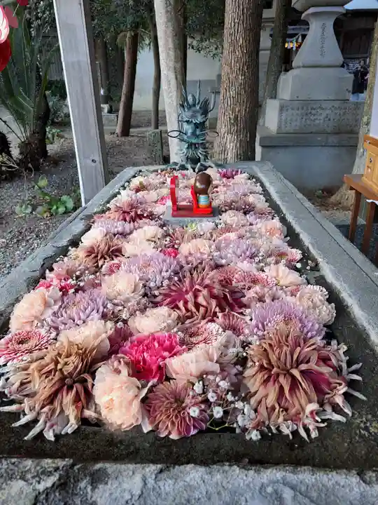 宇佐八幡神社(徳島県)