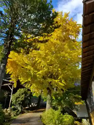 曹洞宗 永松山 龍泉寺(福島県)