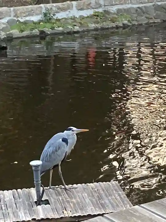 平塚八幡宮(神奈川県)