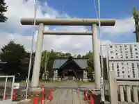 鷲神社の鳥居