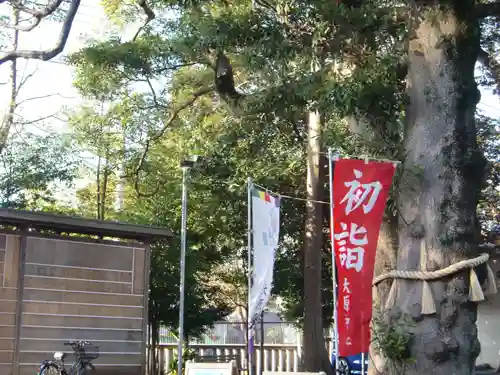 大宮・大原神社(千葉県)