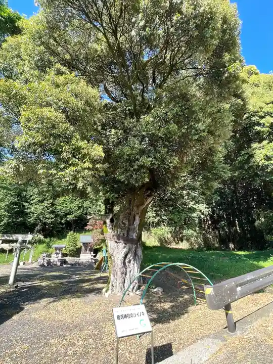 榎嶋神社(白川神社御旅所)(滋賀県)