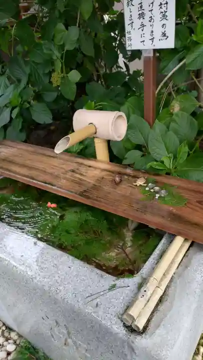 猿田彦神社(東京都)