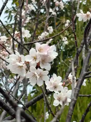 兵庫縣神戸護國神社の{uncategorized: "未分類", other: "その他", undefined: "問題あり", building: "その他建物", grave: "お墓", sacred_gate: "鳥居", guardian: "狛犬", statue: "像", buddha: "仏像", history: "歴史", nature: "自然", garden: "庭園", animal: "動物", pagoda: "塔", temizu: "手水舎", mountain_gate: "山門・神門", sanctuary: "本殿・本堂", subordinate: "末社・摂社", art: "芸術", scenery: "景色", jizo: "地蔵", ema: "絵馬", goshuin: "御朱印", omikuji: "おみくじ", items: "授与品その他", amulet: "お守り", goshuincho: "御朱印帳", eats: "食事", festival: "お祭り", votive_dance: "神楽", shichigosan: "七五三参", wedding: "結婚式", experience: "体験その他", initially: "初詣", around: "周辺", anti_infection: "感染症対策"}