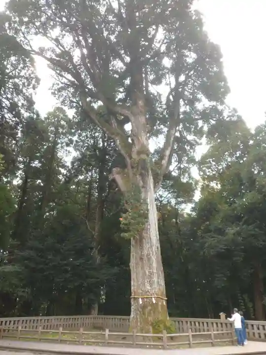 霧島神宮の自然