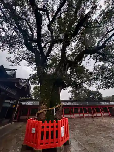 宇佐神宮の自然