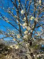 実相院(新潟県)