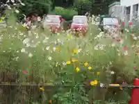 瑠璃光寺(埼玉県)