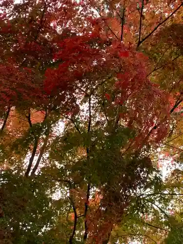 八幡宮(茨城県)