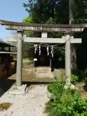 鷲宮神社の鳥居