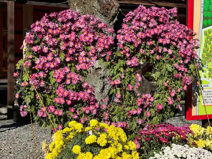 富士山本宮浅間大社(静岡県)