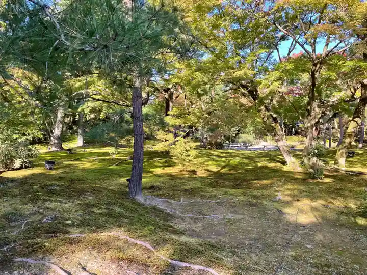 宝厳院(京都府)