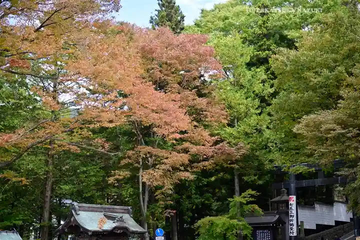 諏訪大社下社秋宮(長野県)