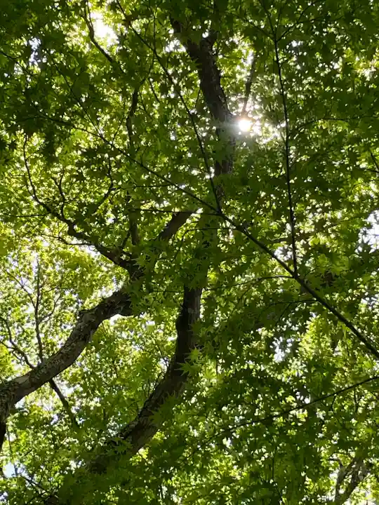 尊永寺(静岡県)