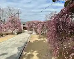 屯倉神社(大阪府)