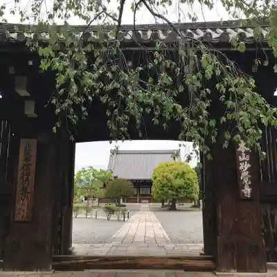 妙覺寺(妙覚寺)の山門・神門