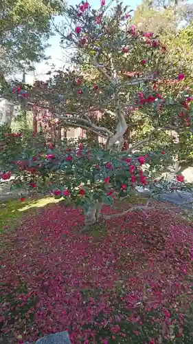 大徳寺の庭園