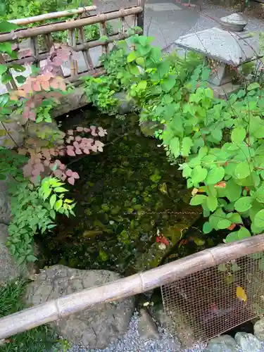 秩父神社の庭園