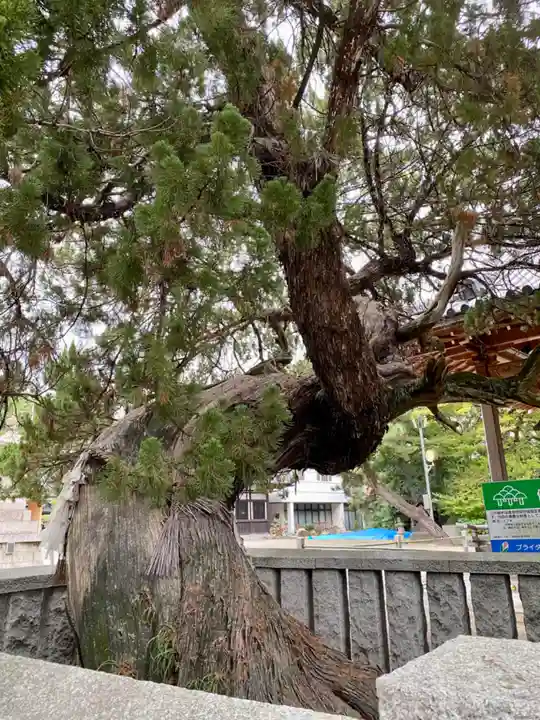 高砂神社(兵庫県)