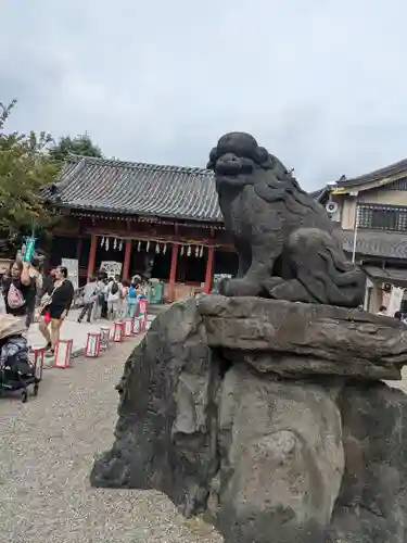 浅草神社の狛犬