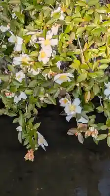 大豊神社(京都府)