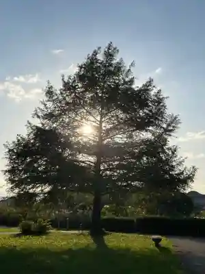 鞆江神社(明地)(愛知県)