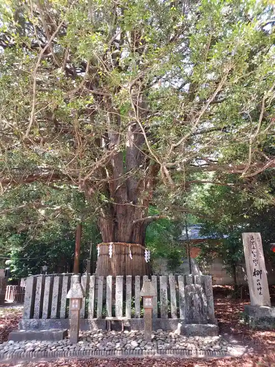 熊野速玉大社の{uncategorized: "未分類", other: "その他", undefined: "問題あり", building: "その他建物", grave: "お墓", sacred_gate: "鳥居", guardian: "狛犬", statue: "像", buddha: "仏像", history: "歴史", nature: "自然", garden: "庭園", animal: "動物", pagoda: "塔", temizu: "手水舎", mountain_gate: "山門・神門", sanctuary: "本殿・本堂", subordinate: "末社・摂社", art: "芸術", scenery: "景色", jizo: "地蔵", ema: "絵馬", goshuin: "御朱印", omikuji: "おみくじ", items: "授与品その他", amulet: "お守り", goshuincho: "御朱印帳", eats: "食事", festival: "お祭り", votive_dance: "神楽", shichigosan: "七五三参", wedding: "結婚式", experience: "体験その他", initially: "初詣", around: "周辺", anti_infection: "感染症対策"}